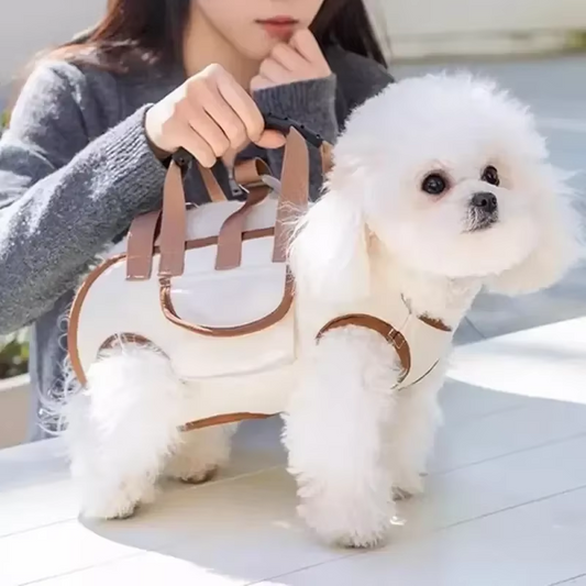 Outdoor Carrying Bag