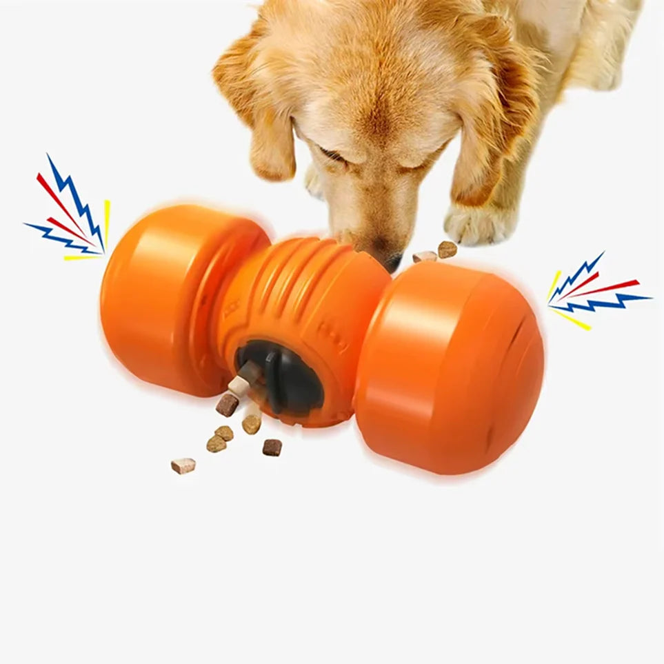 Food Dispenser