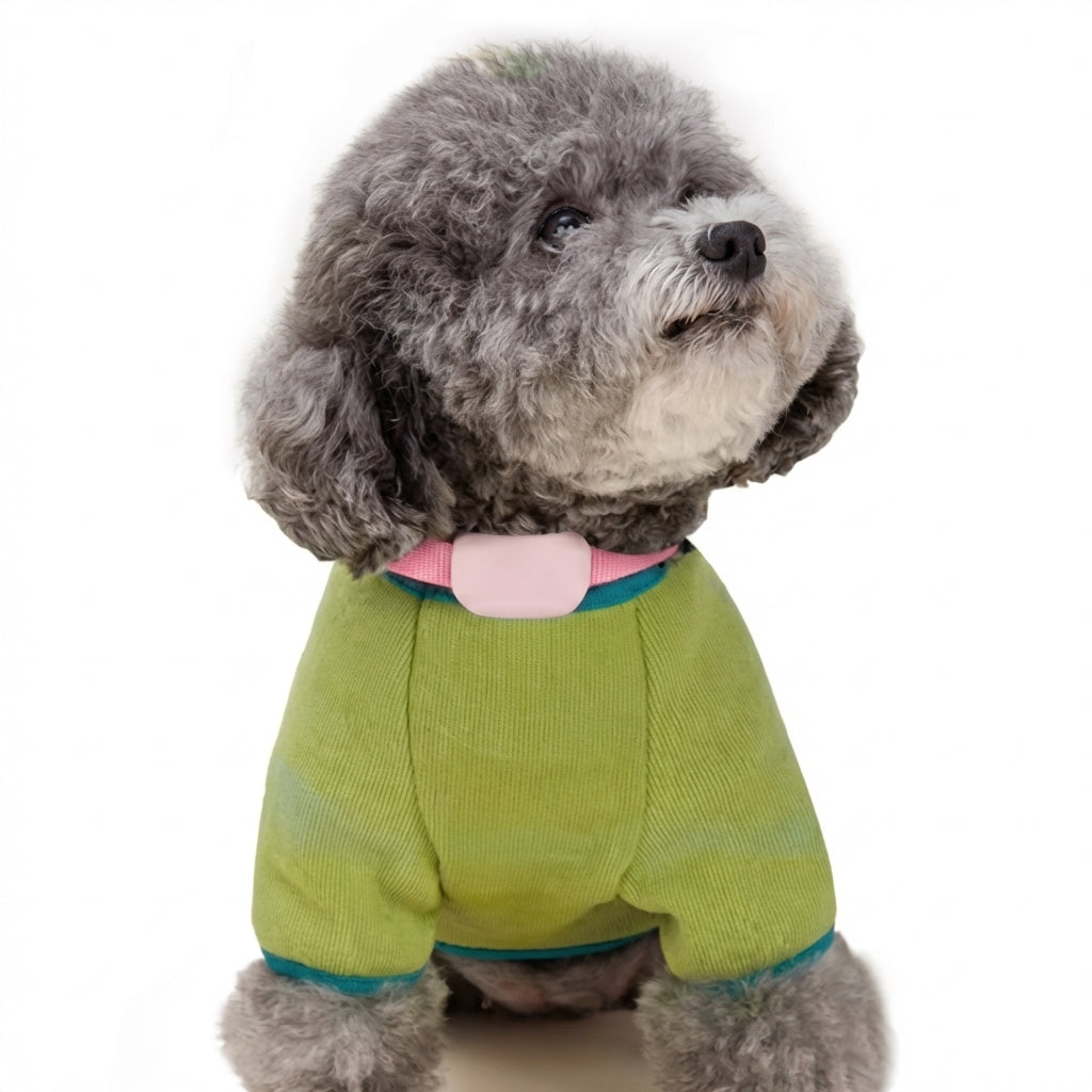 Real-Time Tracking Collar