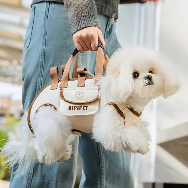 Outdoor Carrying Bag