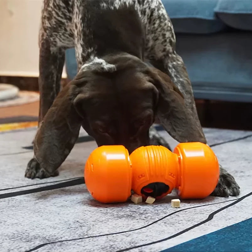 Food Dispenser