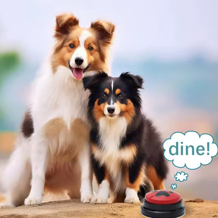 Pet Communication Button